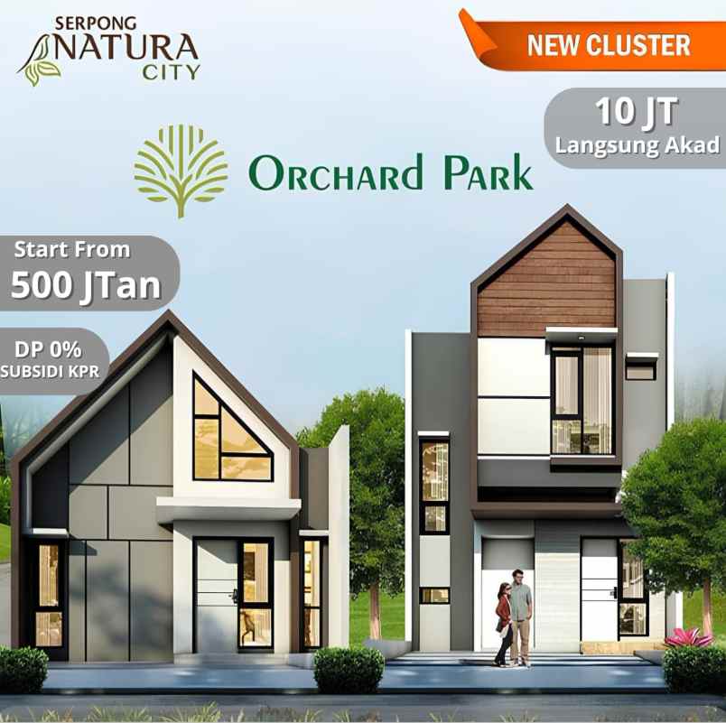 new cluster orchard park