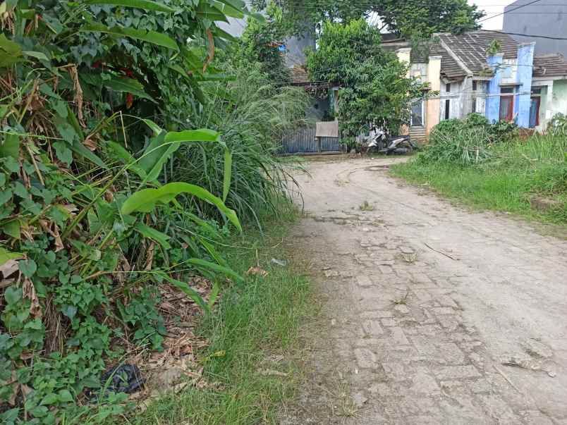 rumah siap huni jual bu di cluster parung bogor elp