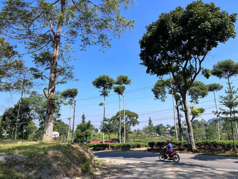 rumah view perbukitan kebun teh kemuning ngargoyoso