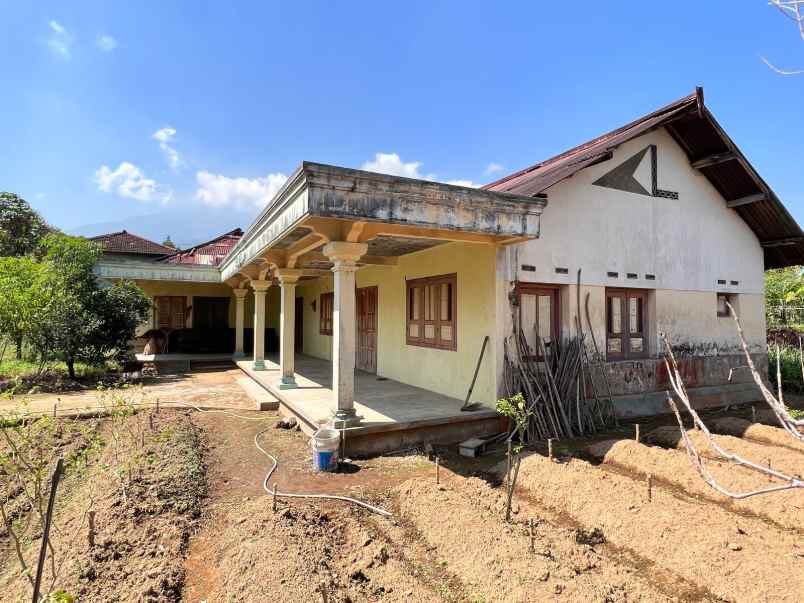 rumah view perbukitan kebun teh kemuning ngargoyoso