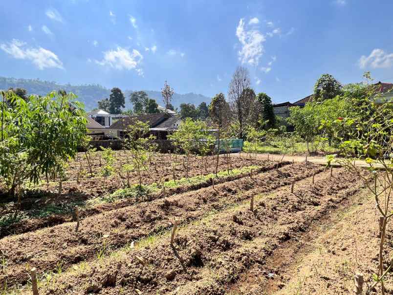 rumah view perbukitan kebun teh kemuning ngargoyoso