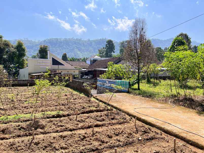 rumah view perbukitan kebun teh kemuning ngargoyoso