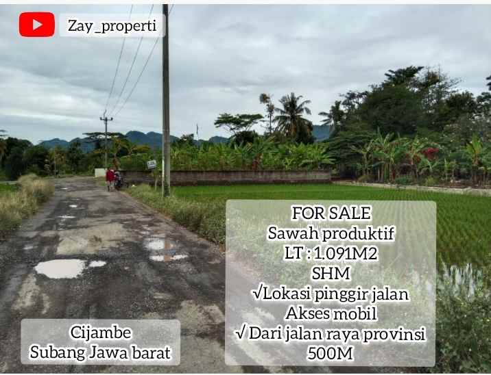 sawah produktif cijambe subang jawa barat