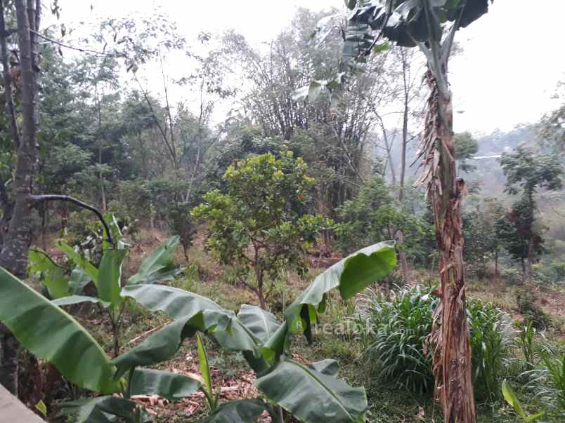 tanah cilengkrang pasir luhur