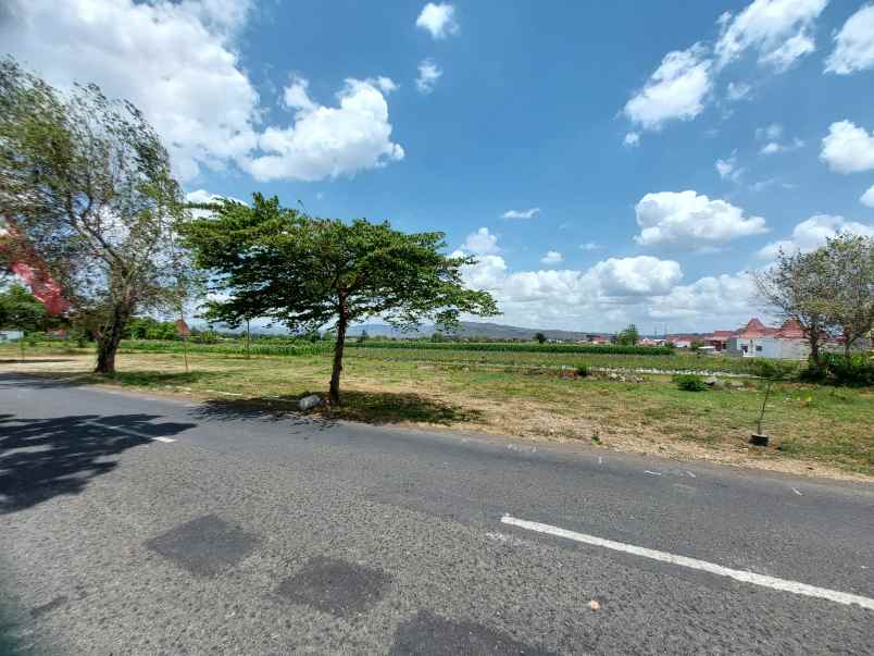 tanah cocok bangun hunian di prambanan jogja