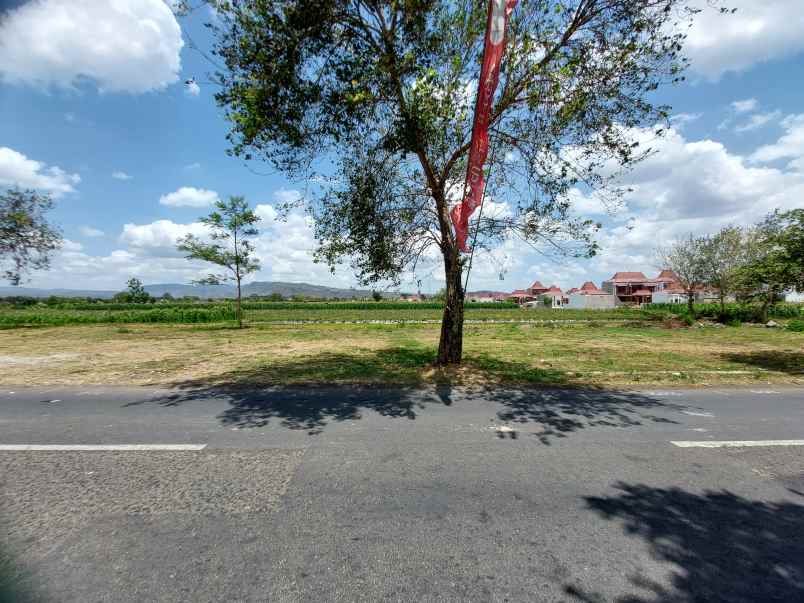 tanah cocok bangun hunian di prambanan jogja