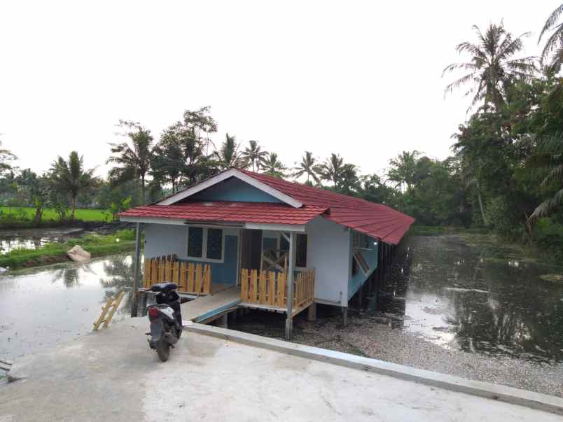 tanah dan usaha dijual untuk investasi ayam petelor