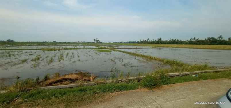 tanah desa cikeris