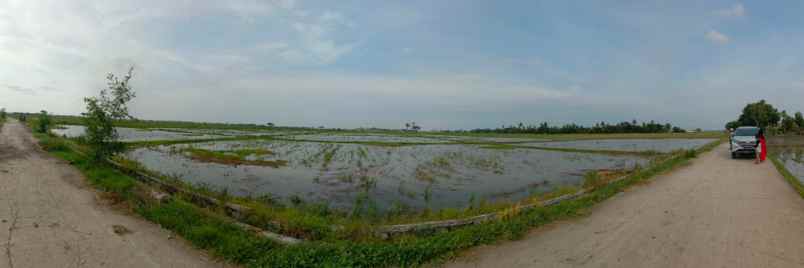 tanah desa cikeris