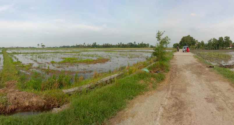 tanah desa cikeris