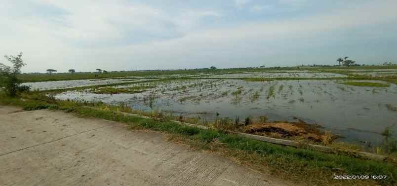 tanah desa cikeris