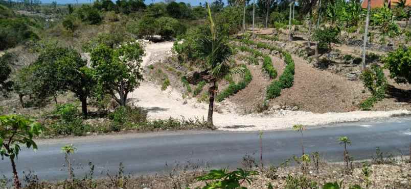 tanah di nusa dua bali madewo apples