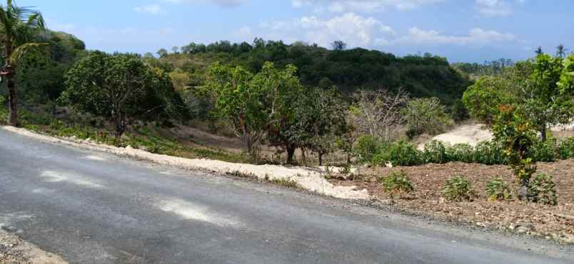 tanah di nusa dua bali madewo apples