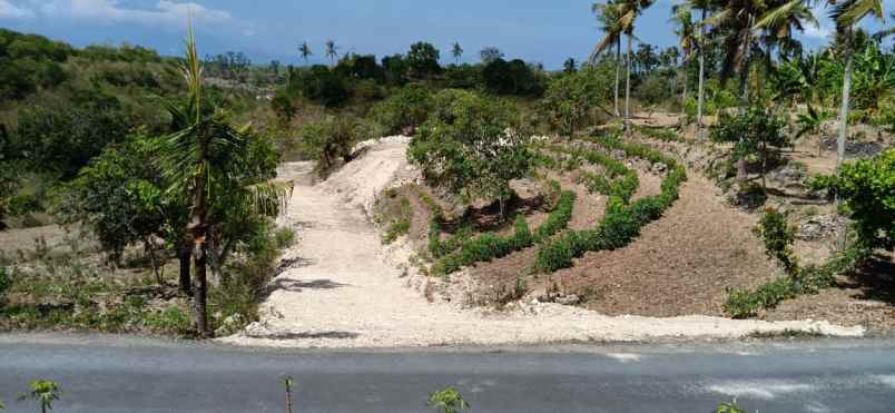 tanah di nusa dua bali madewo apples