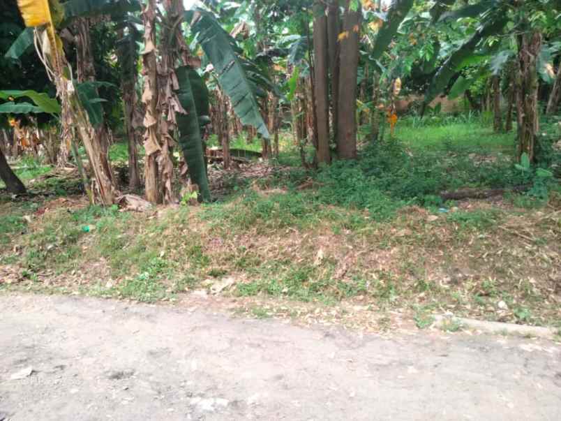 tanah di pramuka kemiling bandar lampung