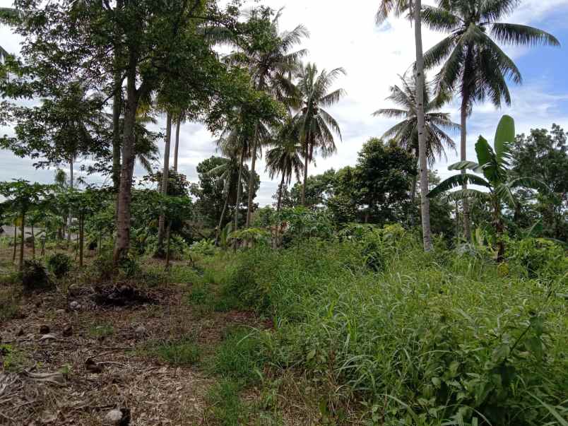 tanah dijual lokasi di babatan lmapung selatan