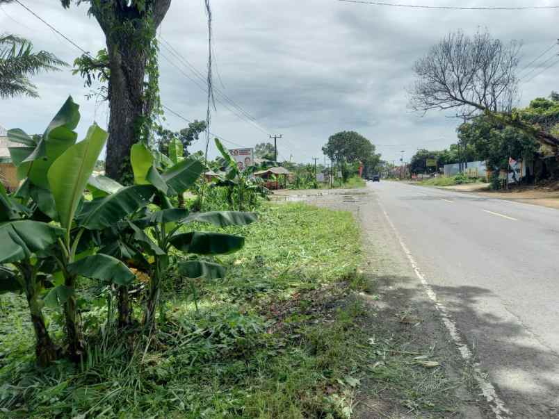 tanah dijual lokasi di babatan lmapung selatan