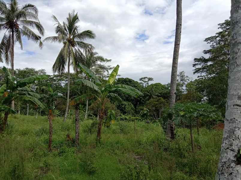 tanah dijual lokasi di babatan lmapung selatan