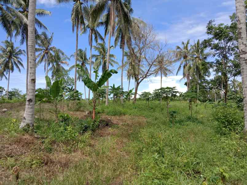 tanah dijual lokasi di babatan lmapung selatan