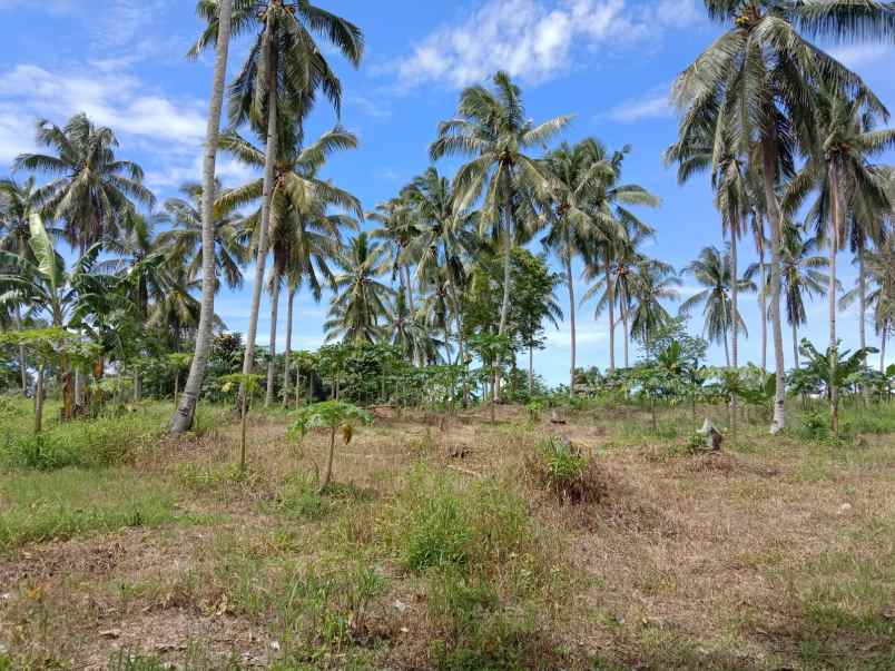 tanah dijual lokasi di babatan lmapung selatan