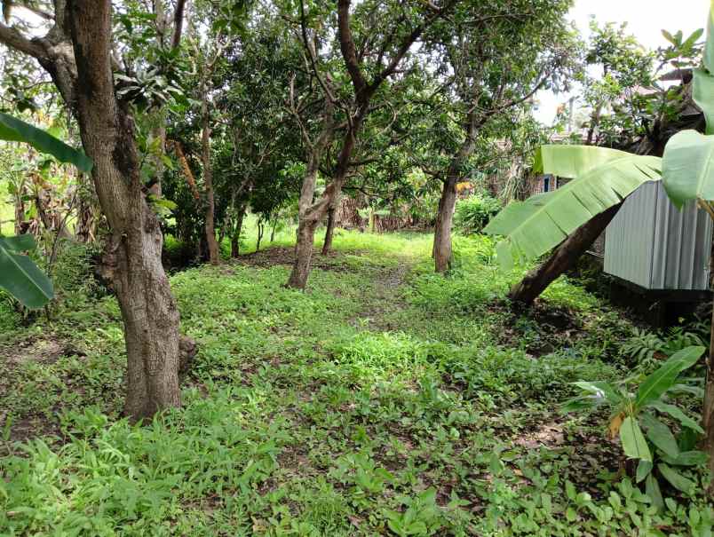 tanah gemah kinijaya dekat unimus dan rs primaya