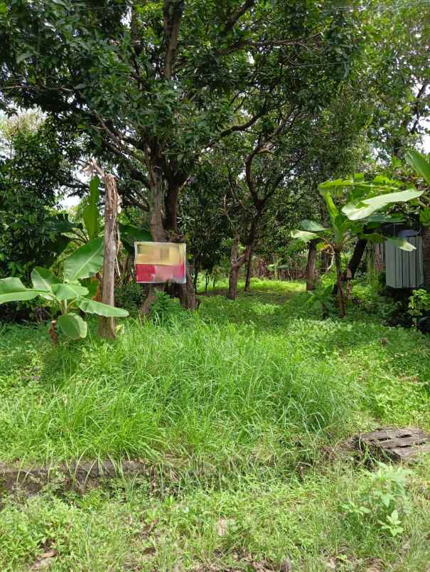tanah gemah kinijaya dekat unimus dan rs primaya