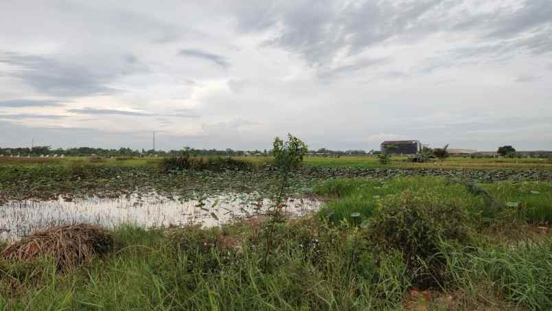 tanah jl pulo kerto kecamatan