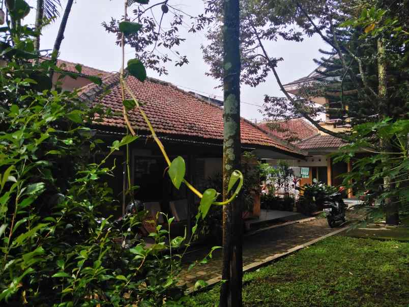 tanah jl siliwangi dalam 3 no 49