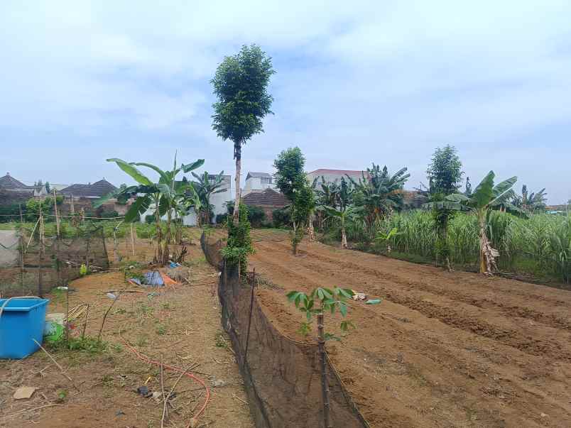 tanah karya kasih medan johor