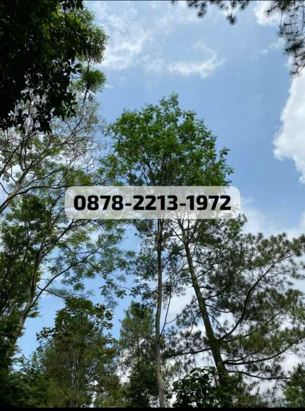 tanah kav cluster exclusive dekat ke kampus itb dago