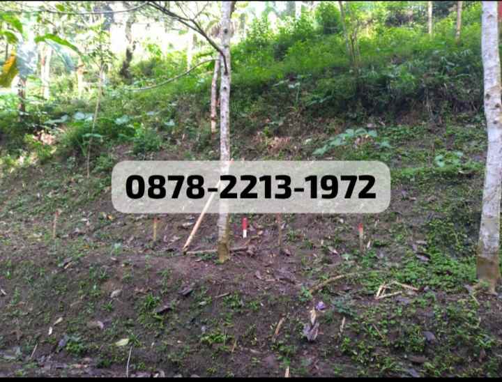 tanah kav cluster exclusive dekat ke kampus itb dago