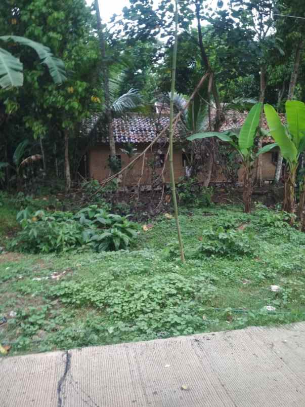 tanah kavling murah pinggir jalan di cisalam baros