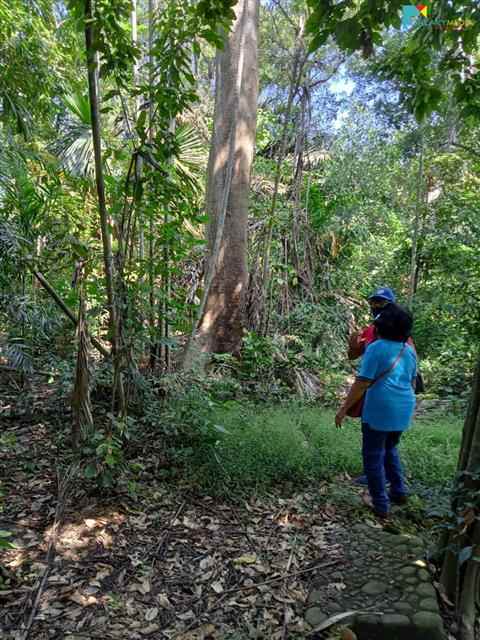 tanah kebon luas dijual murah di tambun utara bekasi