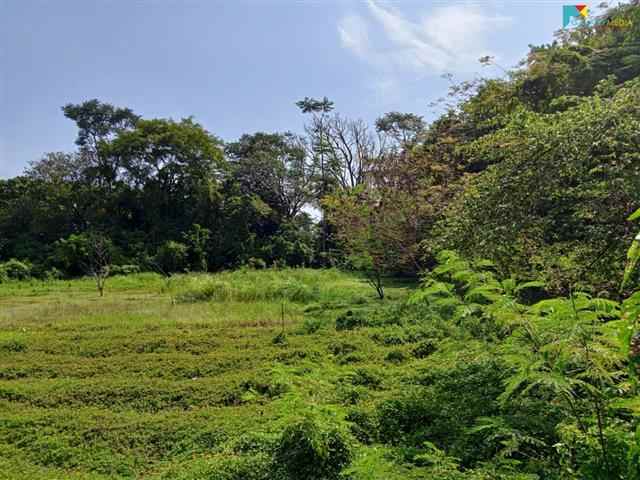 tanah kebon luas dijual murah di tambun utara bekasi