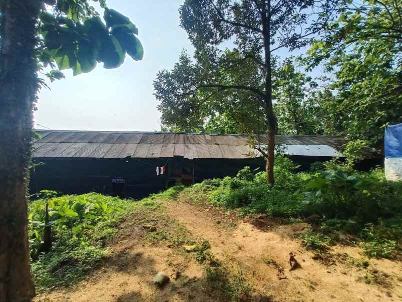 tanah kebun dan peternakan di cipelang bogor