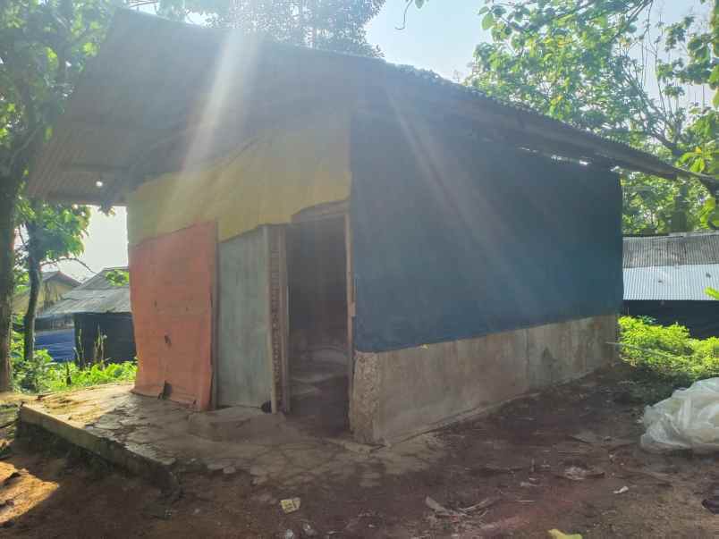 tanah kebun dan peternakan di cipelang bogor