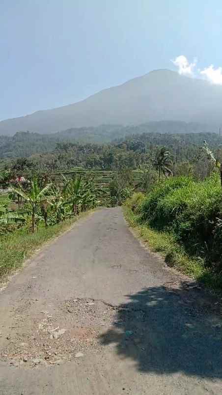 tanah kebun subur dekat kawasan wisata