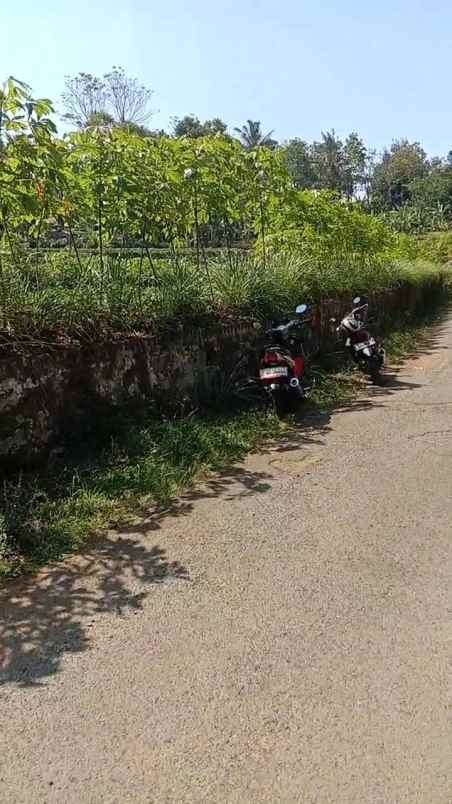 tanah kebun subur dekat kawasan wisata