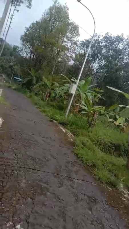 tanah kebun subur dekat kawasan wisata