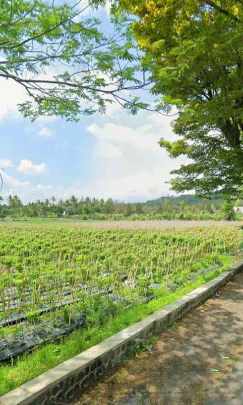 tanah komersial strategis di jl raya cipanas garut