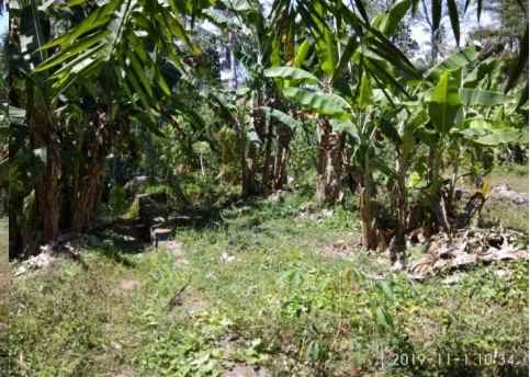 tanah kosong lokasi tenang sejuk