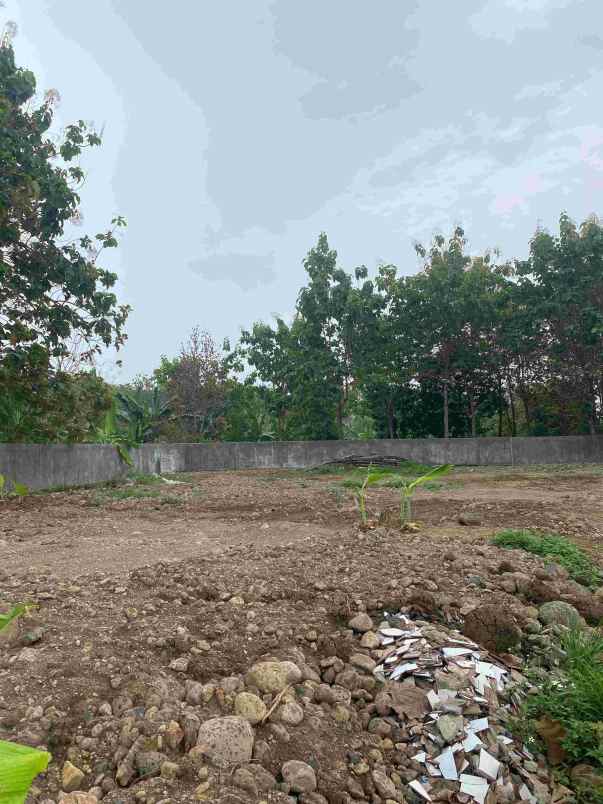 tanah luas di meteseh tembalang semarang