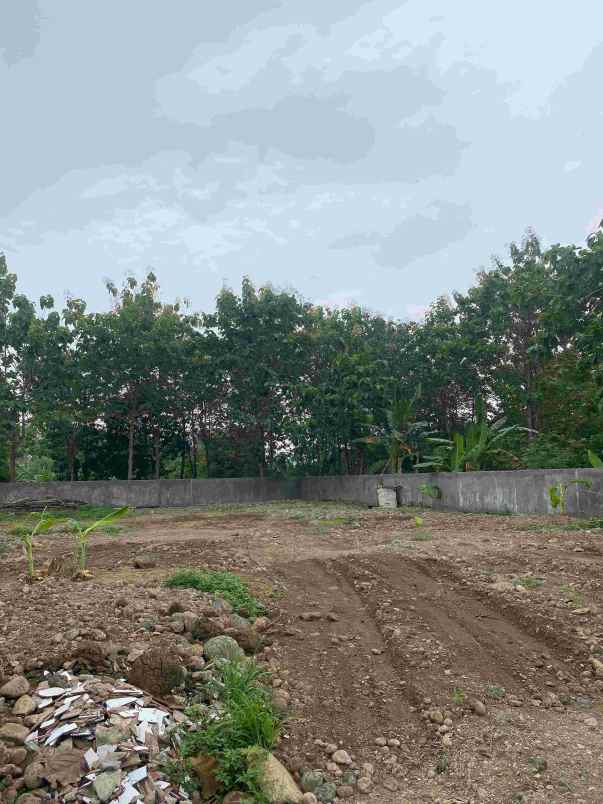 tanah luas di meteseh tembalang semarang