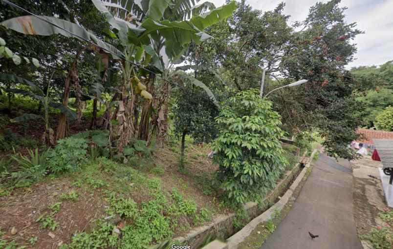 tanah luas murah kota bogor dekat cimanggu city