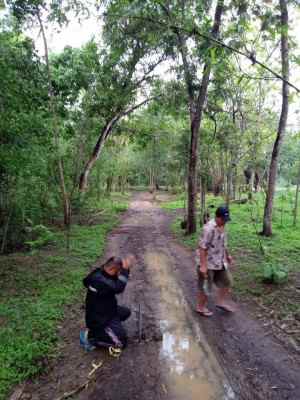 tanah mekarjaya