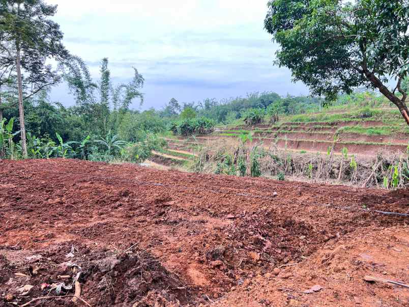 tanah murah 2216m 450 juta bonus bangunan karanganyar