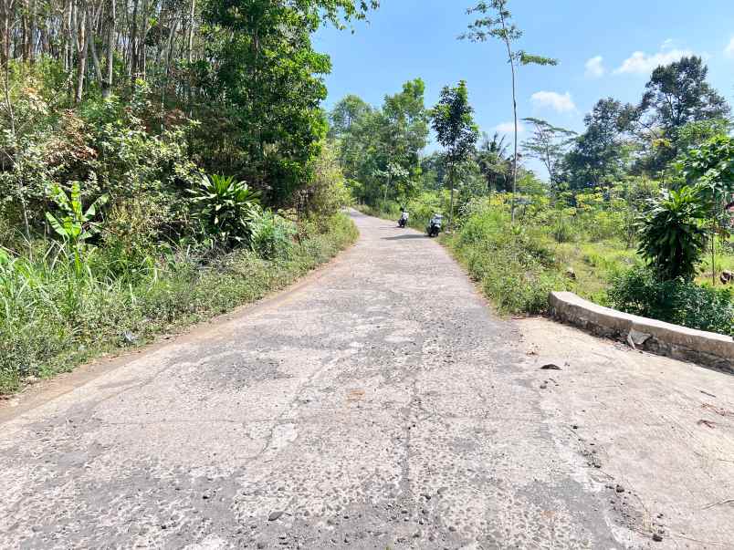 tanah murah 300 juta view langsung kebun teh kemuning