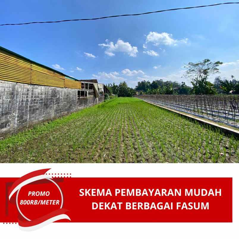 tanah murah dekat ringin purwomartani