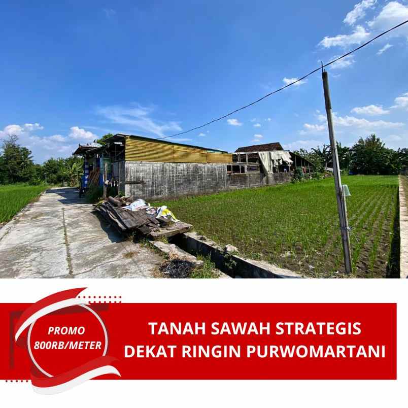 tanah murah dekat ringin purwomartani