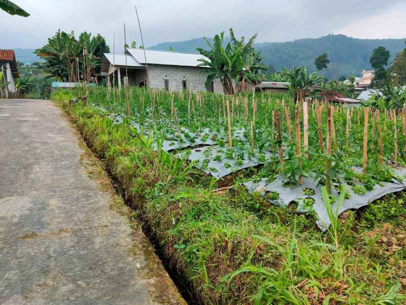 tanah ngargoyoso karanganyar